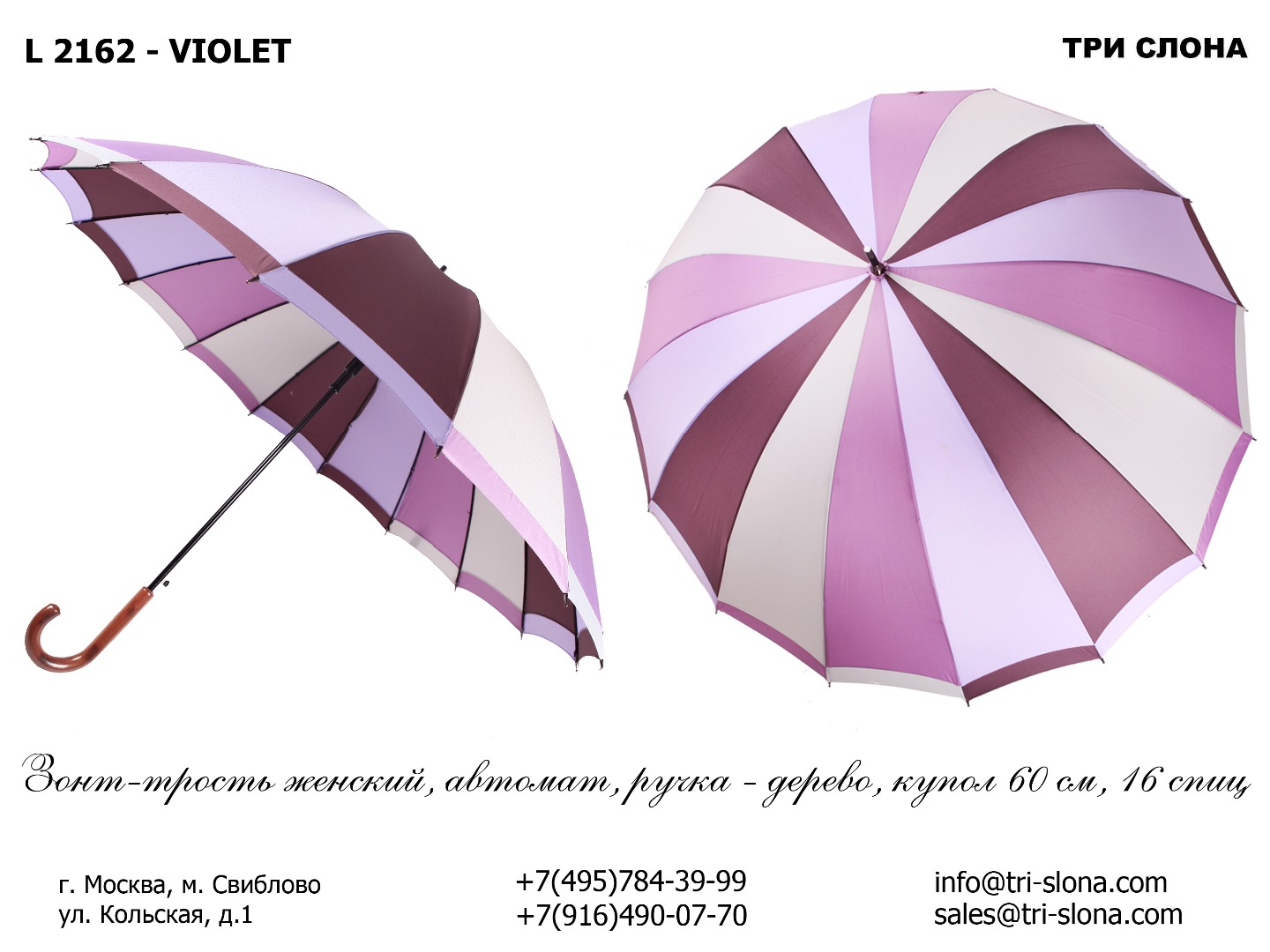 Зонт Трость женская Арт L2162 - VIOLET L 2162 violet.jpg
